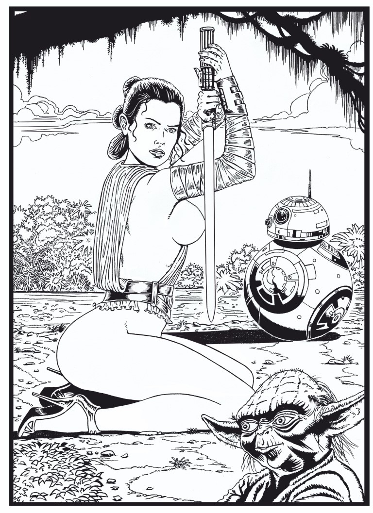 Rey - Star Wars Sexy Pinup